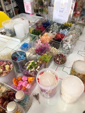 ずこうしつ〜sugamo〜に投稿された画像（2021/10/23）