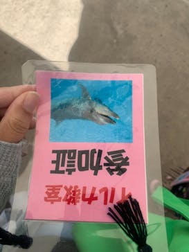 南知多ビーチランド＆南知多おもちゃ王国に投稿された画像（2021/10/23）