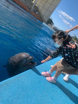 南知多ビーチランド＆南知多おもちゃ王国に投稿された画像（2021/10/23）