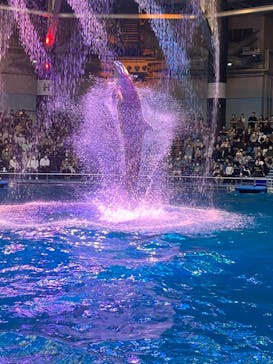 マクセル アクアパーク品川に投稿された画像（2021/10/23）