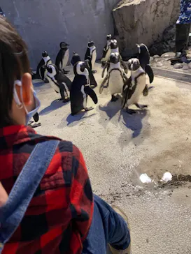 横浜・八景島シーパラダイスに投稿された画像（2021/10/23）