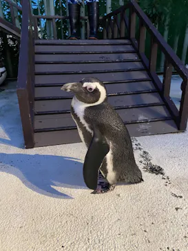 横浜・八景島シーパラダイスに投稿された画像（2021/10/23）