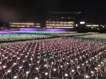 東京メガイルミに投稿された画像（2021/10/23）