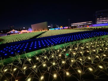 東京メガイルミに投稿された画像（2021/10/23）