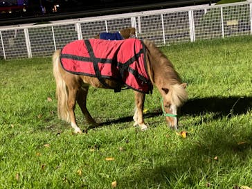 東京メガイルミに投稿された画像（2021/10/23）