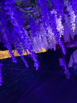 東京メガイルミに投稿された画像（2021/10/23）