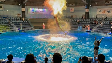 マクセル アクアパーク品川に投稿された画像（2021/10/23）