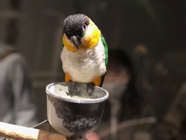 Moff animal world MARK IS みなとみらい店に投稿された画像（2021/10/23）