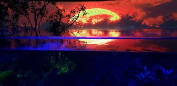 カワスイ 川崎⽔族館に投稿された画像（2021/10/23）