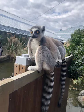 神戸どうぶつ王国に投稿された画像（2021/10/23）