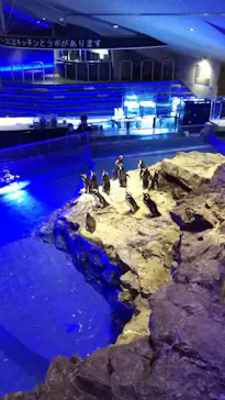 すみだ水族館に投稿された画像（2021/10/23）