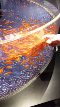 すみだ水族館に投稿された画像（2021/10/23）