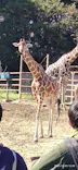 東武動物公園に投稿された画像（2021/10/23）