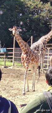 東武動物公園に投稿された画像（2021/10/23）