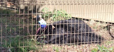 東武動物公園に投稿された画像（2021/10/23）