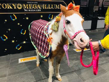 東京メガイルミに投稿された画像（2021/10/23）