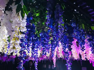 東京メガイルミに投稿された画像（2021/10/23）