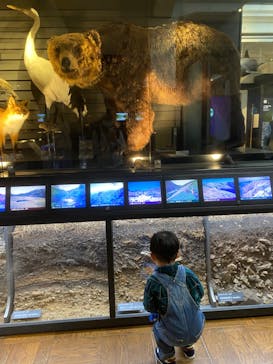 国立科学博物館に投稿された画像（2021/10/23）