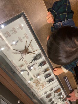 国立科学博物館に投稿された画像（2021/10/23）