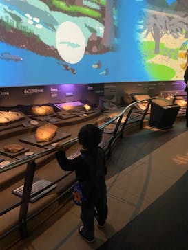 国立科学博物館に投稿された画像（2021/10/23）