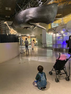 国立科学博物館に投稿された画像（2021/10/23）