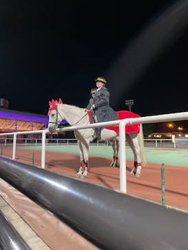 東京メガイルミに投稿された画像（2021/10/23）