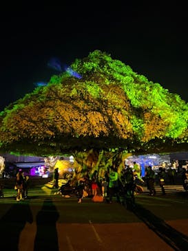 東京メガイルミに投稿された画像（2021/10/23）