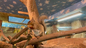 那須どうぶつ王国に投稿された画像（2021/10/23）