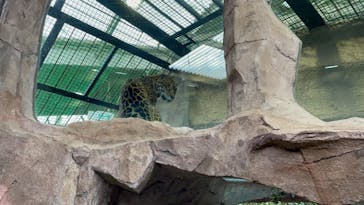 那須どうぶつ王国に投稿された画像（2021/10/23）