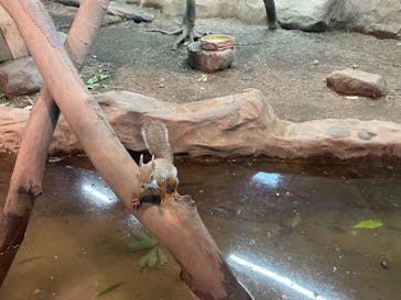 那須どうぶつ王国に投稿された画像（2021/10/23）