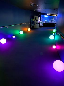 サンシャイン水族館に投稿された画像（2021/10/23）