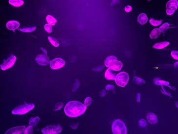 サンシャイン水族館に投稿された画像（2021/10/23）