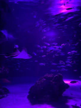 サンシャイン水族館に投稿された画像（2021/10/23）