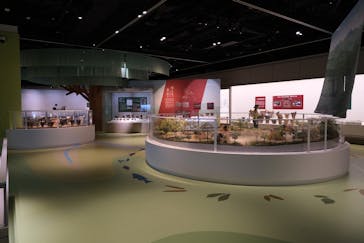 特別展「縄文2021―東京に生きた縄文人―」(江戸東京博物館）に投稿された画像（2021/10/23）