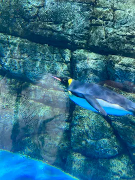 横浜・八景島シーパラダイスに投稿された画像（2021/10/23）