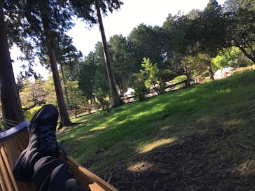 まかいの牧場に投稿された画像（2021/10/23）