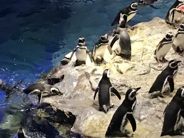 すみだ水族館に投稿された画像（2021/10/23）