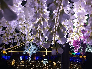 東京メガイルミに投稿された画像（2021/10/23）