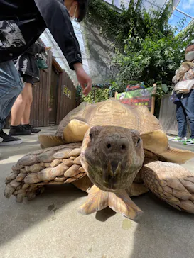 神戸どうぶつ王国に投稿された画像（2021/10/24）