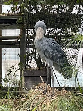 神戸どうぶつ王国に投稿された画像（2021/10/24）