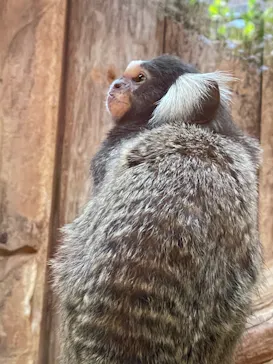 神戸どうぶつ王国に投稿された画像（2021/10/24）