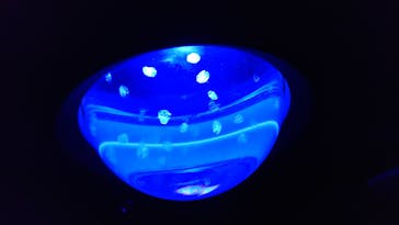 サンシャイン水族館に投稿された画像（2021/10/24）