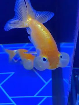 すみだ水族館に投稿された画像（2021/10/24）