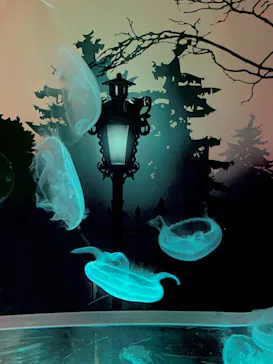 すみだ水族館に投稿された画像（2021/10/24）