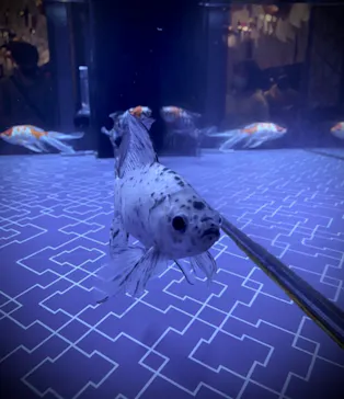 すみだ水族館に投稿された画像（2021/10/24）