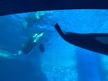 名古屋港水族館に投稿された画像（2021/10/24）