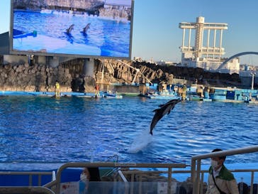 名古屋港水族館に投稿された画像（2021/10/24）