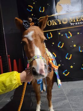 東京メガイルミに投稿された画像（2021/10/24）