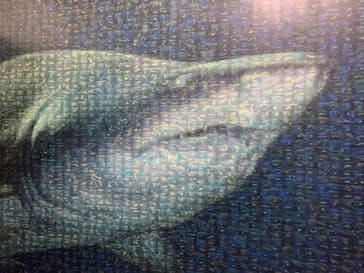 アクアワールド茨城県大洗水族館に投稿された画像（2021/10/24）