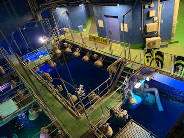 アクアワールド茨城県大洗水族館に投稿された画像（2021/10/24）